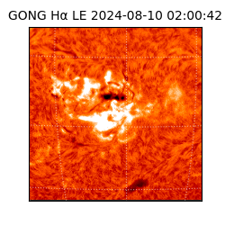 gong - 2024-08-10T02:00:42