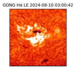 gong - 2024-08-10T03:00:42
