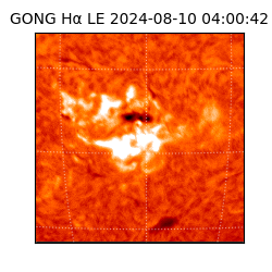 gong - 2024-08-10T04:00:42