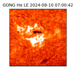 gong - 2024-08-10T07:00:42