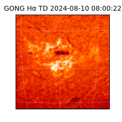 gong - 2024-08-10T08:00:22