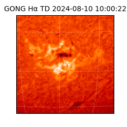gong - 2024-08-10T10:00:22