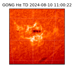 gong - 2024-08-10T11:00:22