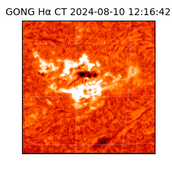 gong - 2024-08-10T12:16:42
