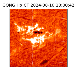 gong - 2024-08-10T13:00:42