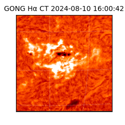 gong - 2024-08-10T16:00:42