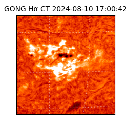 gong - 2024-08-10T17:00:42