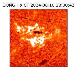 gong - 2024-08-10T18:00:42