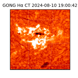 gong - 2024-08-10T19:00:42
