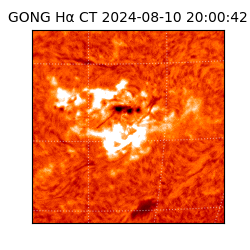 gong - 2024-08-10T20:00:42