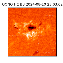 gong - 2024-08-10T23:03:02