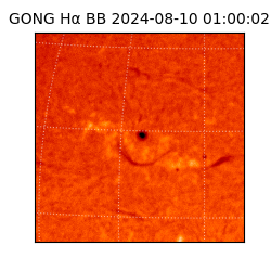 gong - 2024-08-10T01:00:02
