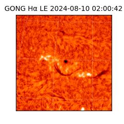 gong - 2024-08-10T02:00:42