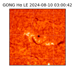 gong - 2024-08-10T03:00:42