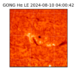 gong - 2024-08-10T04:00:42