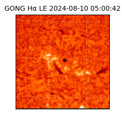 gong - 2024-08-10T05:00:42