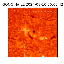 gong - 2024-08-10T06:00:42