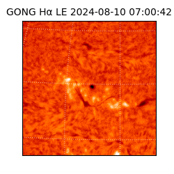 gong - 2024-08-10T07:00:42