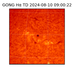 gong - 2024-08-10T09:00:22