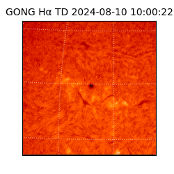 gong - 2024-08-10T10:00:22