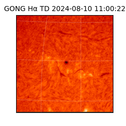 gong - 2024-08-10T11:00:22