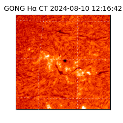 gong - 2024-08-10T12:16:42
