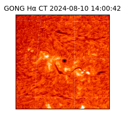 gong - 2024-08-10T14:00:42