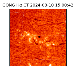 gong - 2024-08-10T15:00:42