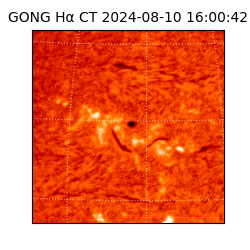 gong - 2024-08-10T16:00:42