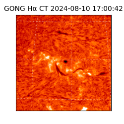 gong - 2024-08-10T17:00:42