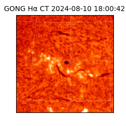 gong - 2024-08-10T18:00:42