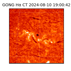 gong - 2024-08-10T19:00:42