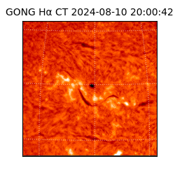 gong - 2024-08-10T20:00:42