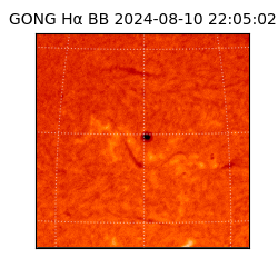 gong - 2024-08-10T22:05:02