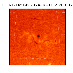gong - 2024-08-10T23:03:02