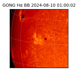 gong - 2024-08-10T01:00:02