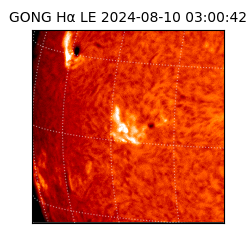 gong - 2024-08-10T03:00:42