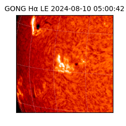 gong - 2024-08-10T05:00:42