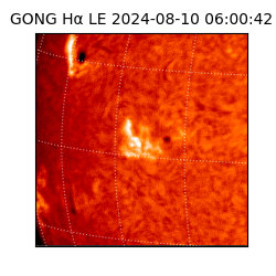 gong - 2024-08-10T06:00:42