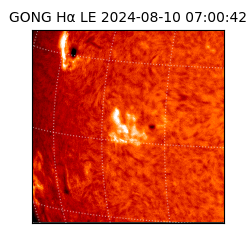 gong - 2024-08-10T07:00:42