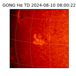 gong - 2024-08-10T08:00:22
