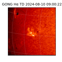 gong - 2024-08-10T09:00:22