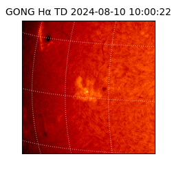 gong - 2024-08-10T10:00:22