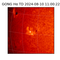 gong - 2024-08-10T11:00:22