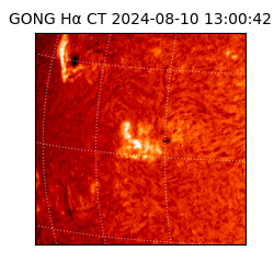 gong - 2024-08-10T13:00:42