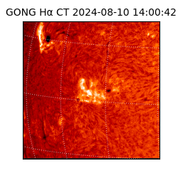 gong - 2024-08-10T14:00:42
