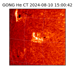 gong - 2024-08-10T15:00:42