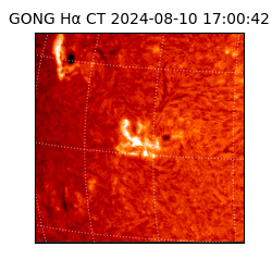 gong - 2024-08-10T17:00:42