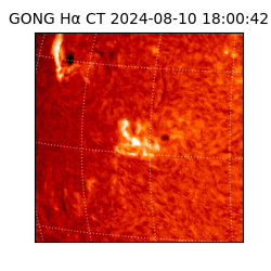 gong - 2024-08-10T18:00:42