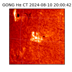 gong - 2024-08-10T20:00:42